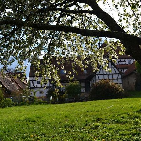 Ferienidyll Cleebourg Villa Luaran gambar