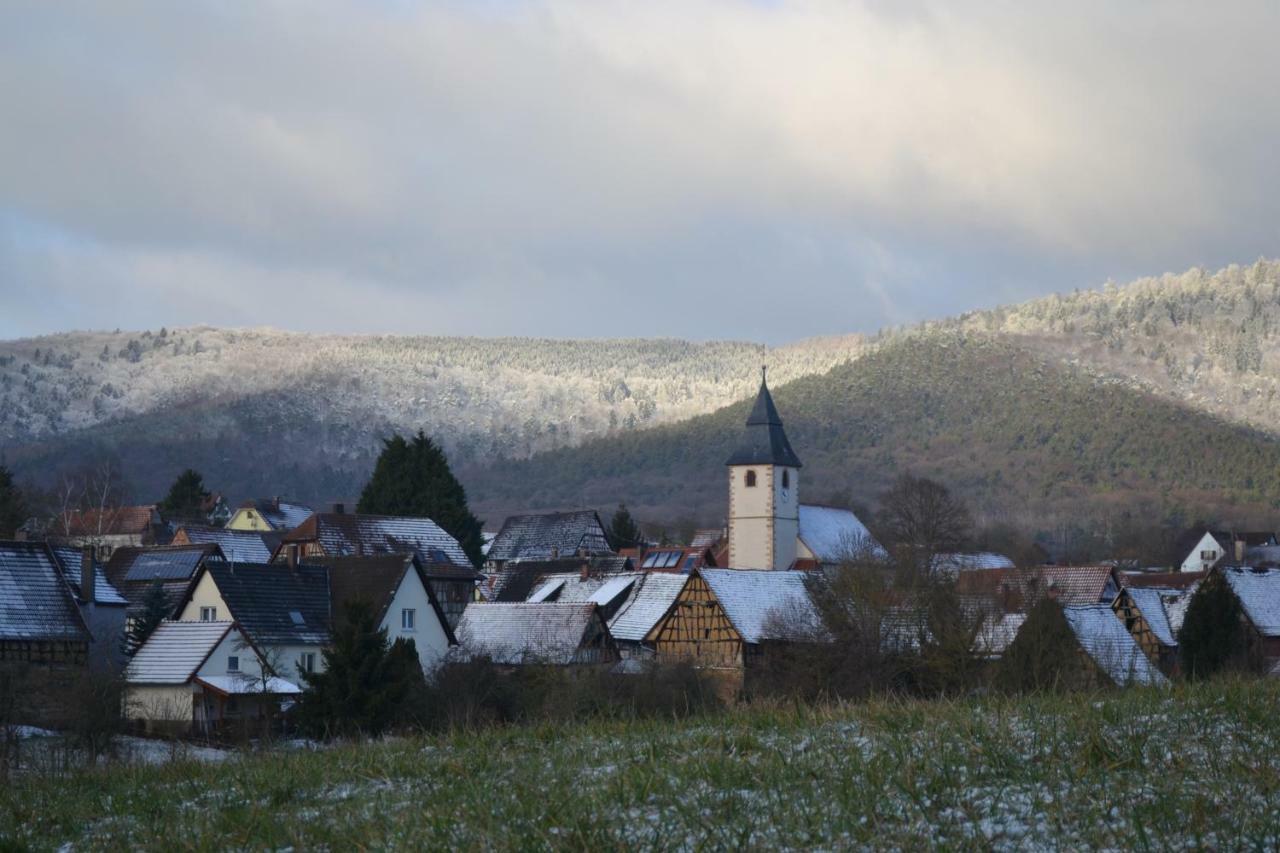 Ferienidyll Cleebourg Villa Luaran gambar