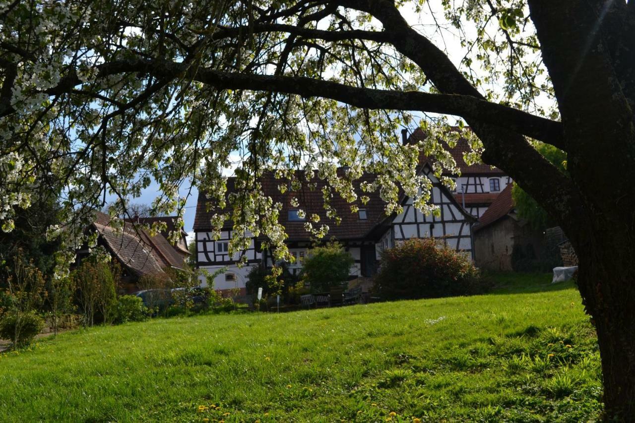 Ferienidyll Cleebourg Villa Luaran gambar