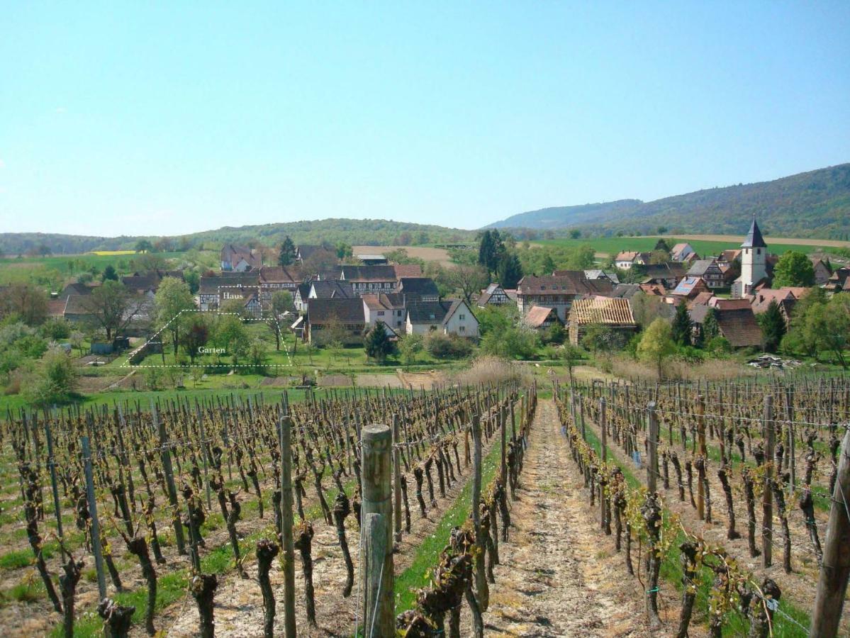 Ferienidyll Cleebourg Villa Luaran gambar